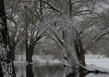 A Self-Care Winter