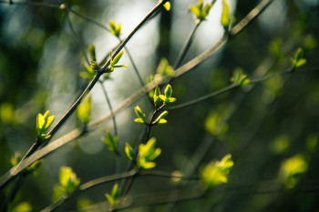 SPRING SALE 15% - Apply Coupon At End