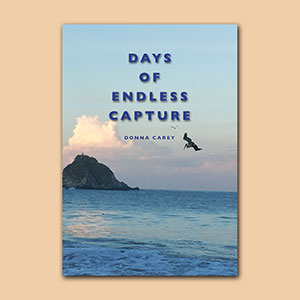 Days of Endless Capture Poetry Book